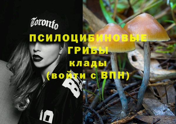 jwh Абаза