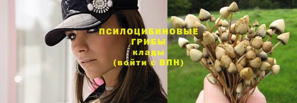 наркотики Абинск