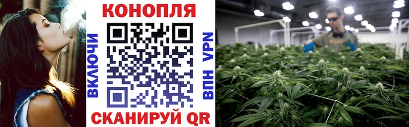 что такое наркотик  Черепаново  Бошки Шишки конопля 